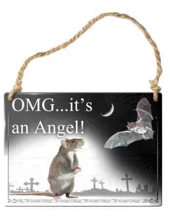 OMG Its an Angel Bat Gothic Quote Metal Sign