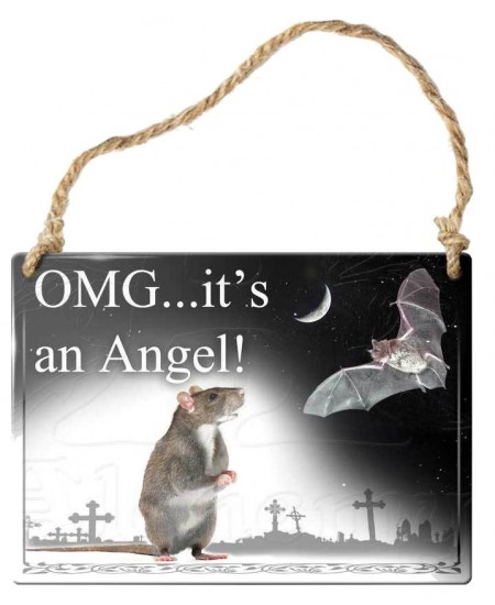 OMG Its an Angel Bat Gothic Quote Metal Sign