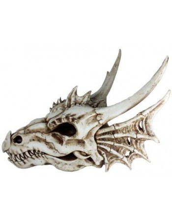 Dragon Skull Statue