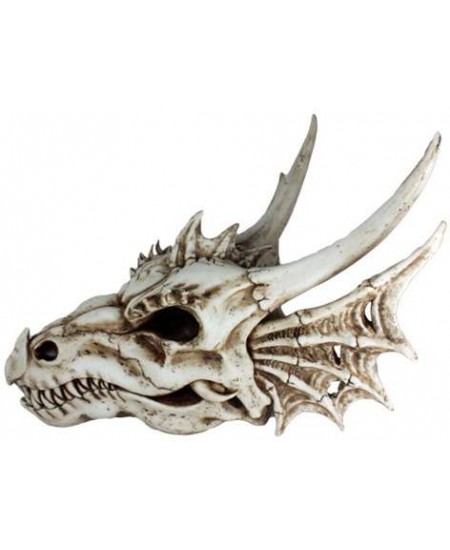 Dragon Skull Statue