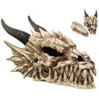 Dragon Skull Box