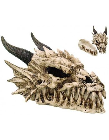 Dragon Skull Box