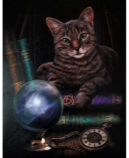 Fortune Teller Cat Canvas Print